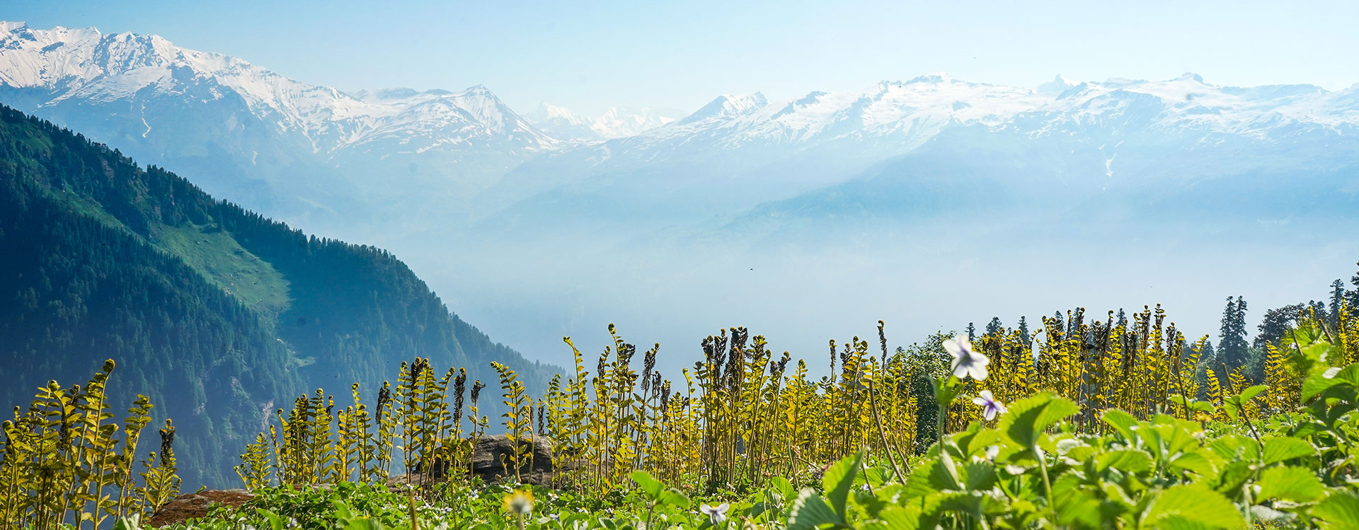 Santosh Tour and Travels